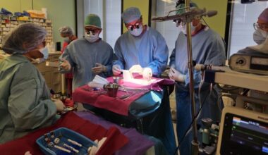 PERHis siirati esimest korda õmblusvaba aordiklapiprotees