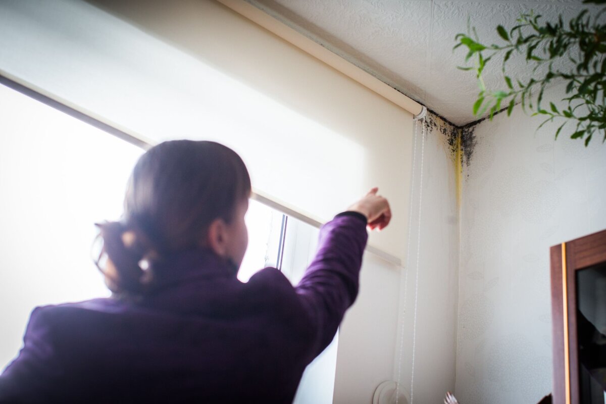 Varjatud puuduste kaebused kasvavad plahvatuslikult. Kuidas kinnisvara müües ellu jääda