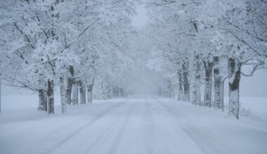 Uuring: üle 80% eestlastest veedab jõulud kodus. Kui pühade ajal reisitakse, siis mitte palmi alla