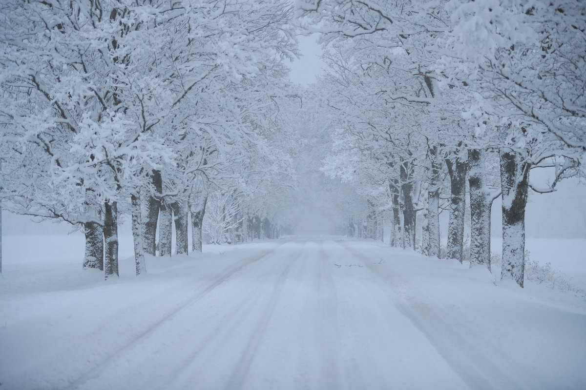Uuring: üle 80% eestlastest veedab jõulud kodus. Kui pühade ajal reisitakse, siis mitte palmi alla