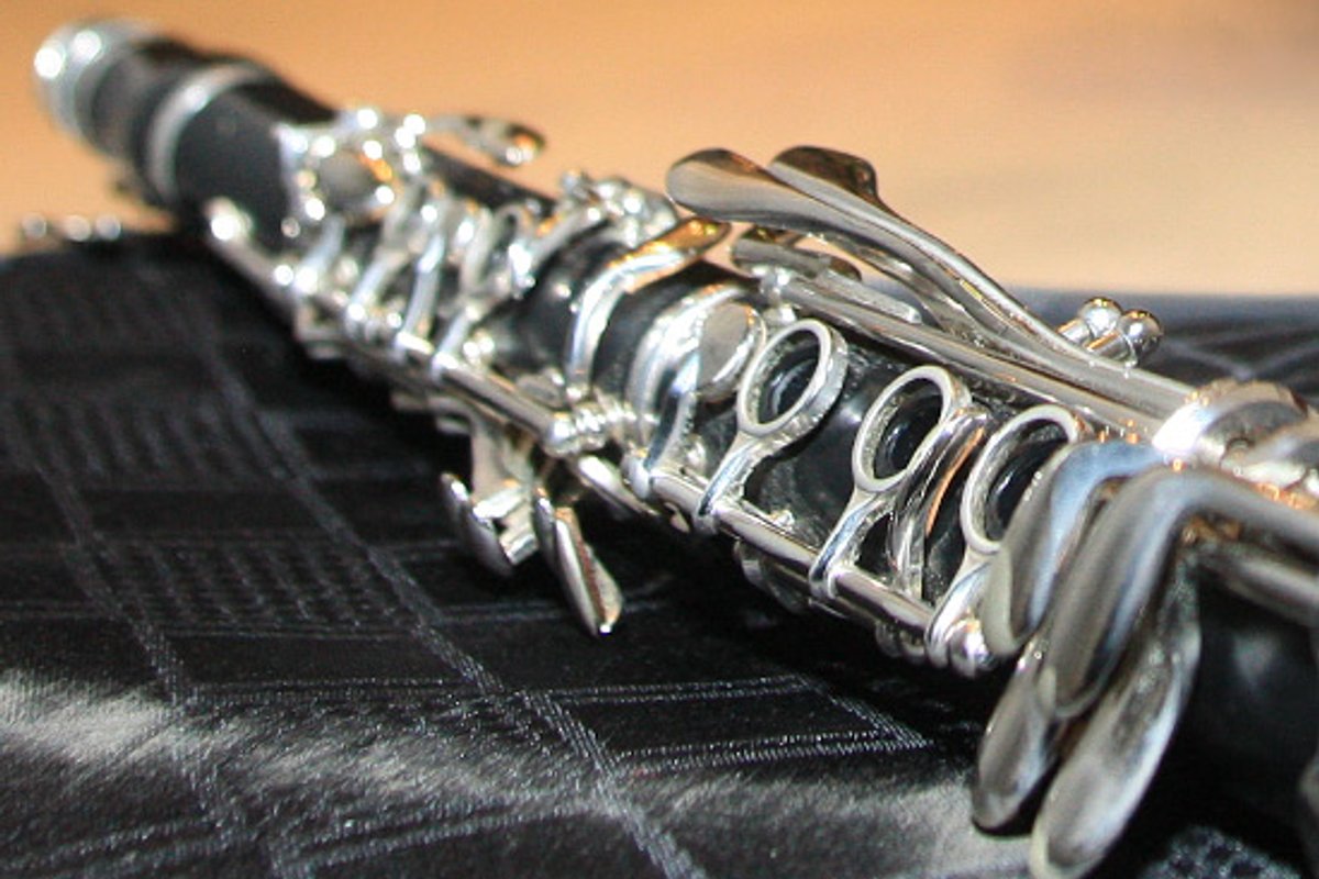 AI pani pange: turvasüsteem tuvastas relva, mis politsei kohale jõudmisel osutus klarnetiks