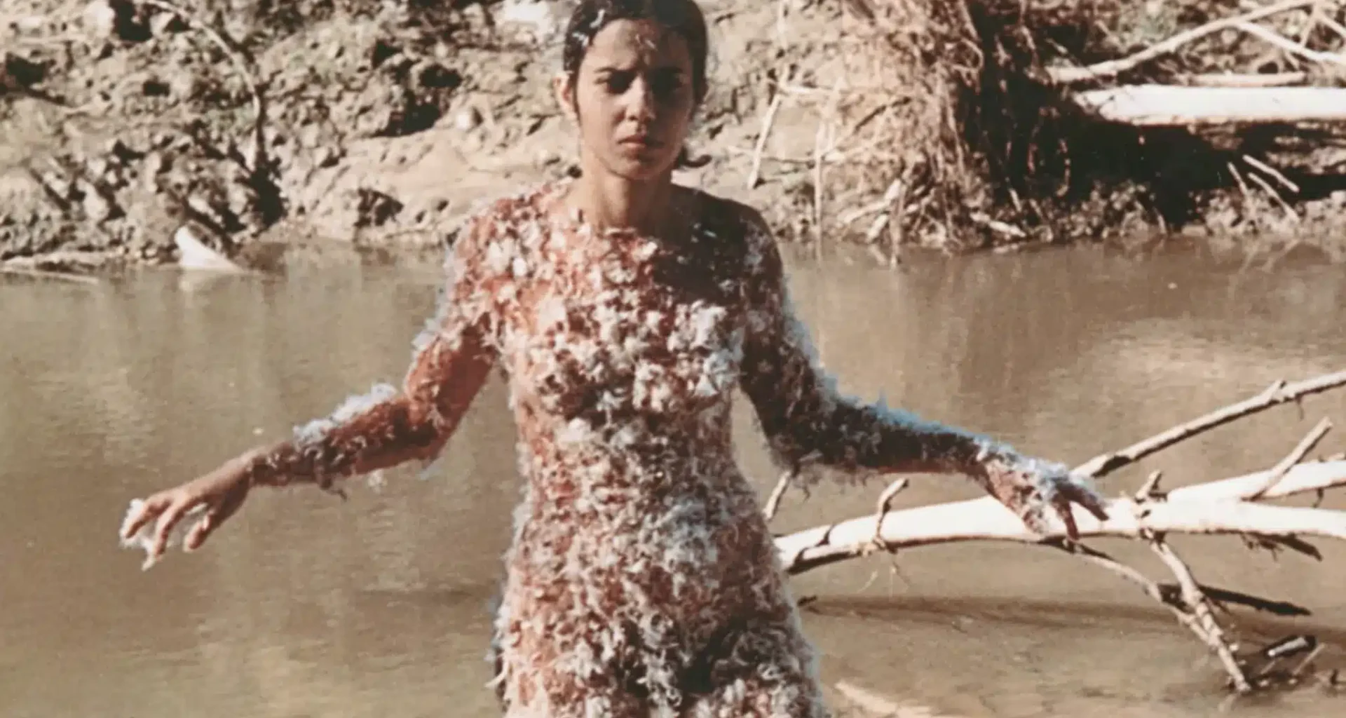 Maria Helen Känd: Ana Mendieta haihtumise poeesia. "Süütu pilk" – Edasi