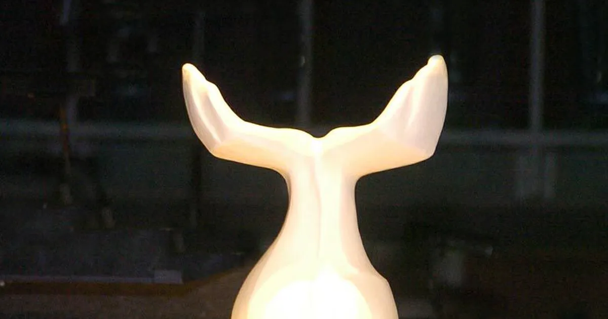 Pärnu aasta teoks pürib 15 kandidaati