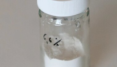 Trump liigitas fentanüüli massihävitusrelvaks