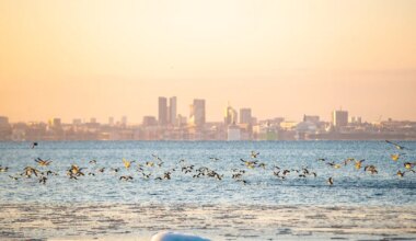 KUIDAS TUNNED ENNAST SINA? ⟩ Statistika järgi on Eesti elukvaliteedilt maailma esirinnas