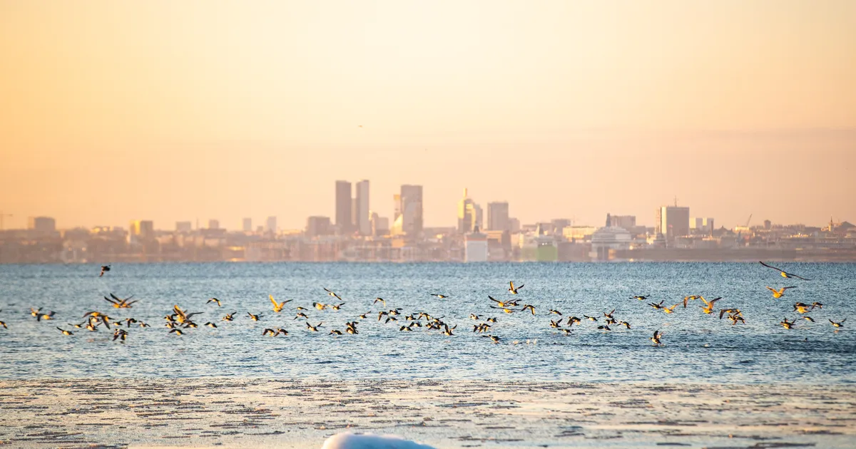 KUIDAS TUNNED ENNAST SINA? ⟩ Statistika järgi on Eesti elukvaliteedilt maailma esirinnas