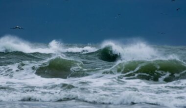 HOIATUS ⟩ Saaremaale on homseks antud kolmanda taseme tormihoiatus - Saarte Hääl