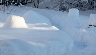 Alanud nädal võib mõnel pool maa katta 30-sentimeetrise lumetekiga - Maa Elu