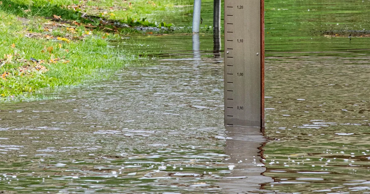 HOIATUS ⟩ Tormituul võib murda puid ja häirida praamiliiklust