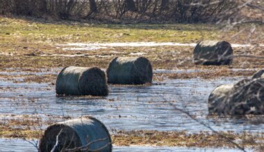 AARE LAHT ⟩ Miks me laseme heinarullidel õnnetult põldudel kössitada? See on tuleviku küte
