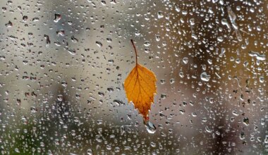 Skorpionil on kõrged eesmärgid, Jääradele lasub suur vastutuskoorem