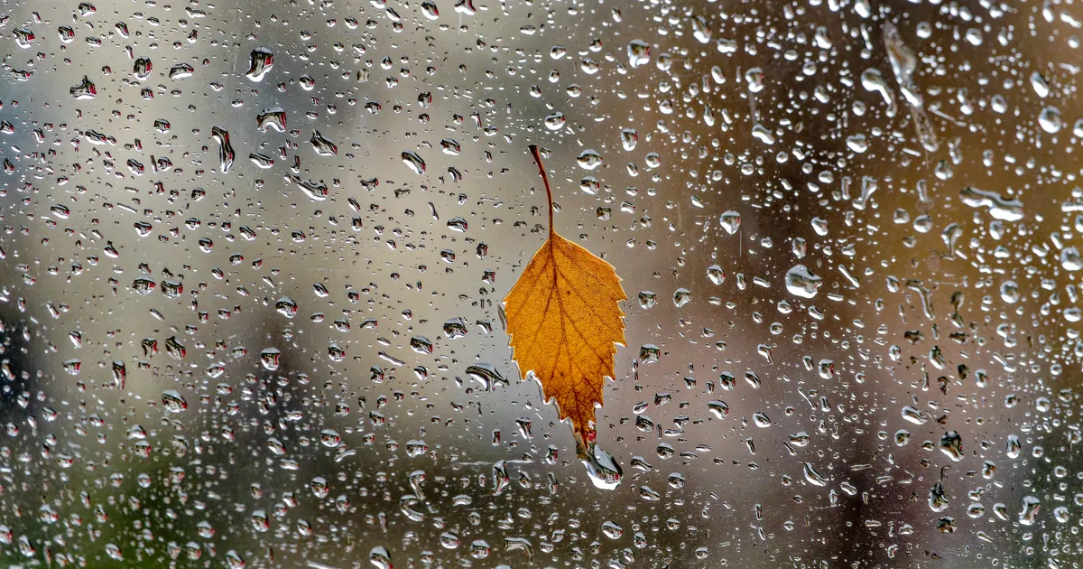 Skorpionil on kõrged eesmärgid, Jääradele lasub suur vastutuskoorem