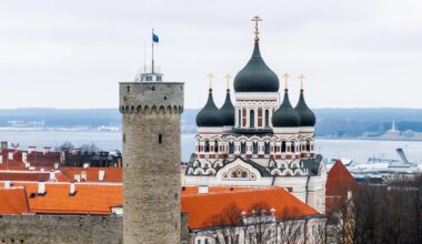 MIHHAIL LOTMAN ⟩ Jälle Eestit kritiseerinud ÜRO eksperdid eksitavad