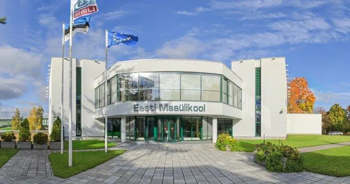 ÜLLE JAAKMA ⟩ Kõrgharidusest, rahast ja sellest, mida me õpetame - Arvamus