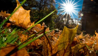 Sügis oli keskmisest tunduvalt soojem ja päikselisem