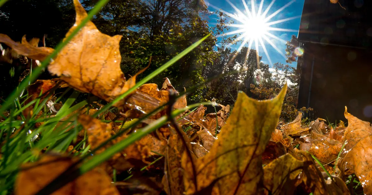 Sügis oli keskmisest tunduvalt soojem ja päikselisem
