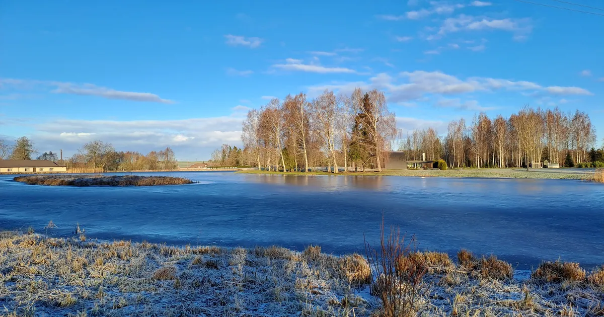 Jõulunädala esimene pool toob kohati krõbedaid külmakraade - Ilmajaam
