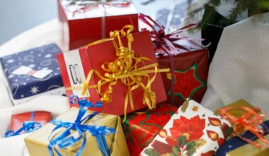 EKSPERT SELGITAB ⟩ Millised on levinumad pühadega kaasas käivad õnnetused ja kuidas saaks neid vältida?