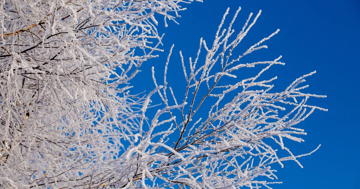 KUUPROGNOOS ⟩ Krõbedamat külma on oodata detsembri teises pooles - Ilmajaam