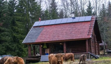 maksa 80 protsenti rohkem või pead oma toodangu tasuta ära andma