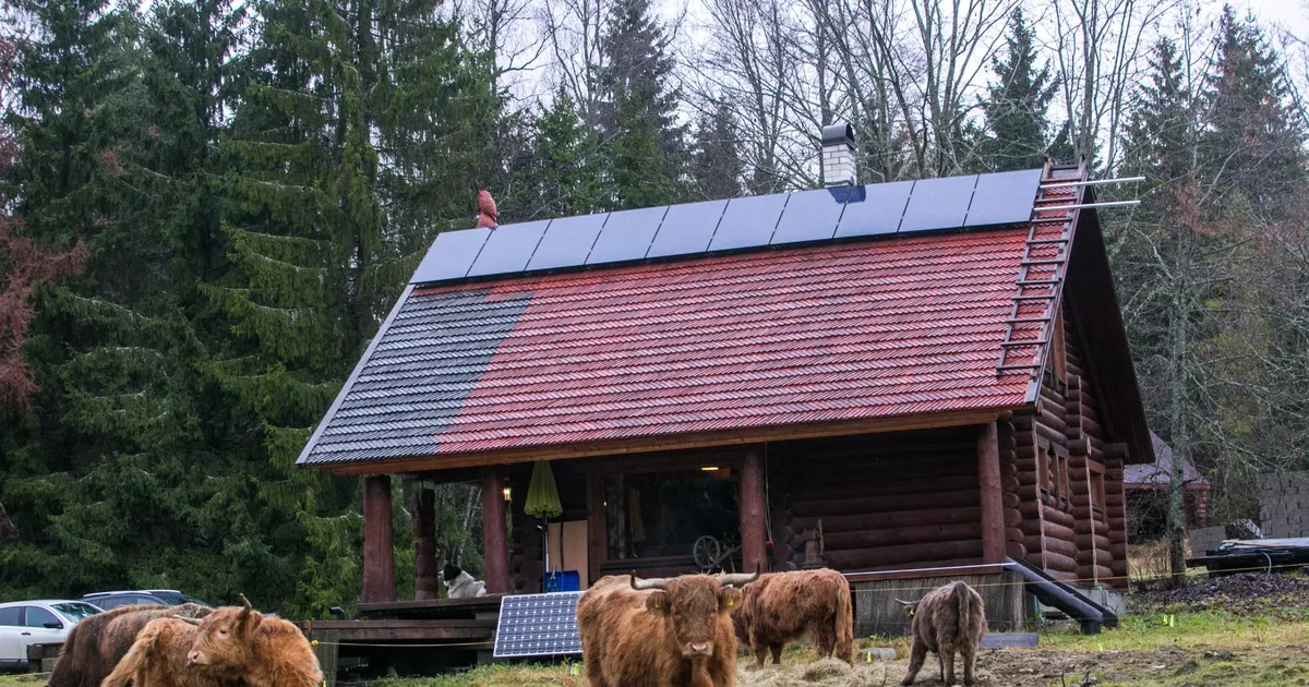 maksa 80 protsenti rohkem või pead oma toodangu tasuta ära andma