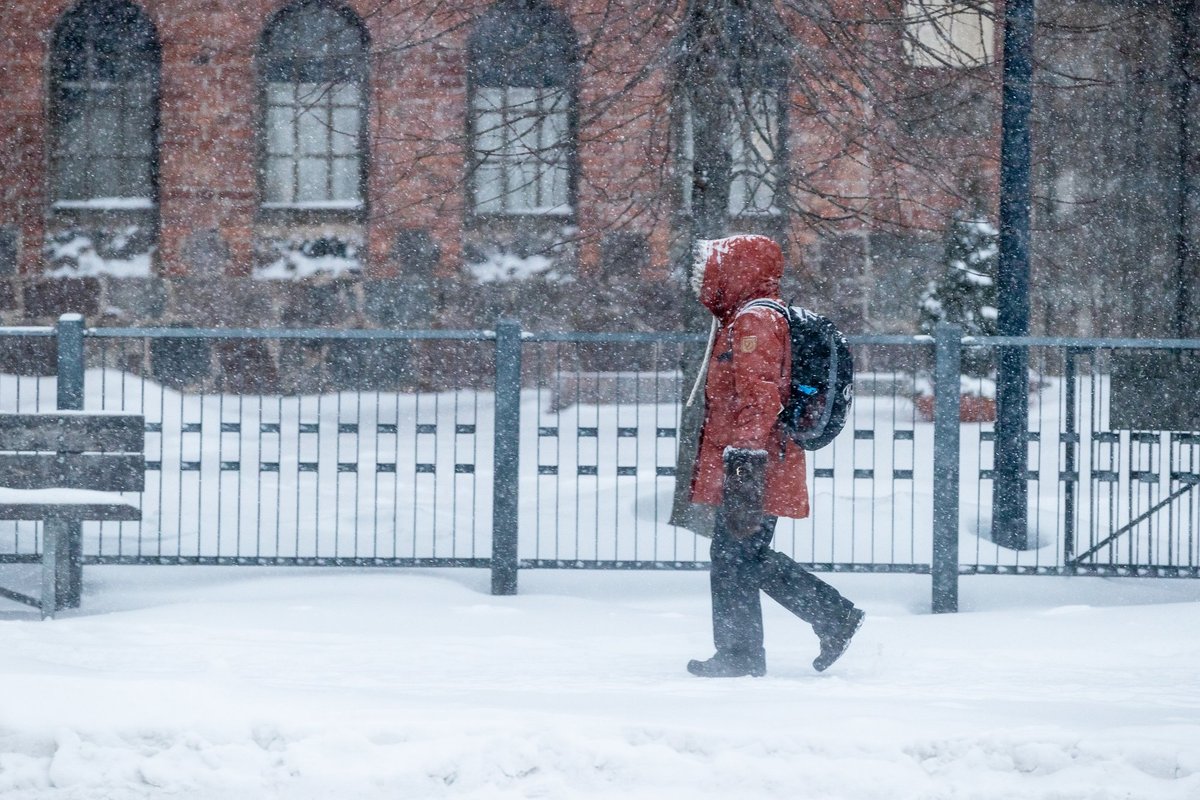 ILMATEADE | Kisub sajuseks! Mitmed Eesti paigad saavad täna nii lund, lörtsi kui ka vihma - Maaleht