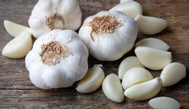 RAVIMTAIM ⟩ Sibul või küüslauk – kummas on rohkem väge ja mõju?