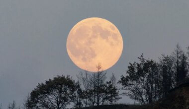 Veevalaja võib ootamatult tähelepanu keskpunkti sattuda, Vähil tuleb tervist hoolega hoida