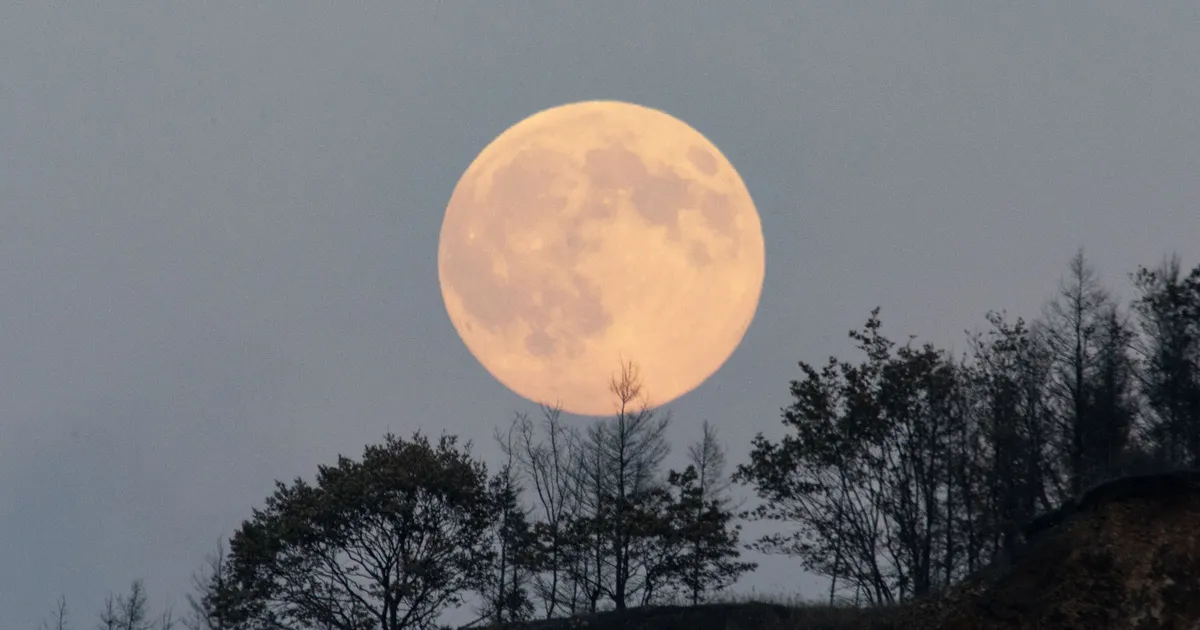 Veevalaja võib ootamatult tähelepanu keskpunkti sattuda, Vähil tuleb tervist hoolega hoida