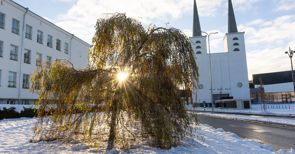 Ilm läheb uuel nädalal taas pehmeks - Ilmajaam