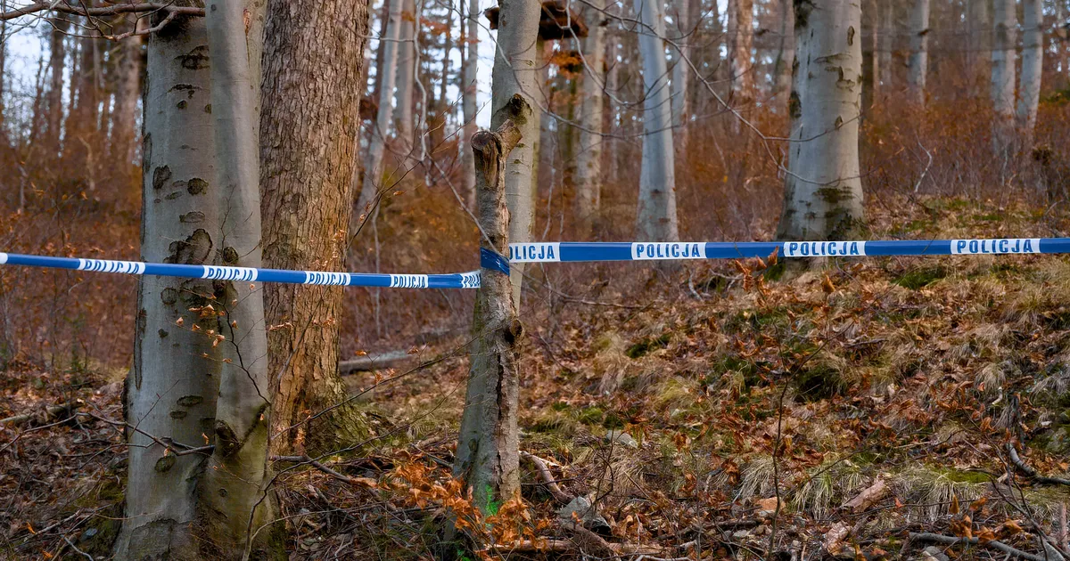 Austria sisulooja surnukeha leiti nädal pärast naise kadumist