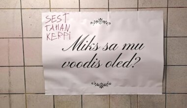 Kalamaja avalikul näitusel on tööde kallal juba vandaalitsetud