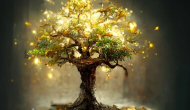 KELLEL VEAB SEEKORD? ⟩ Nendel kolmel tähemärgil on detsembris rahaõnne