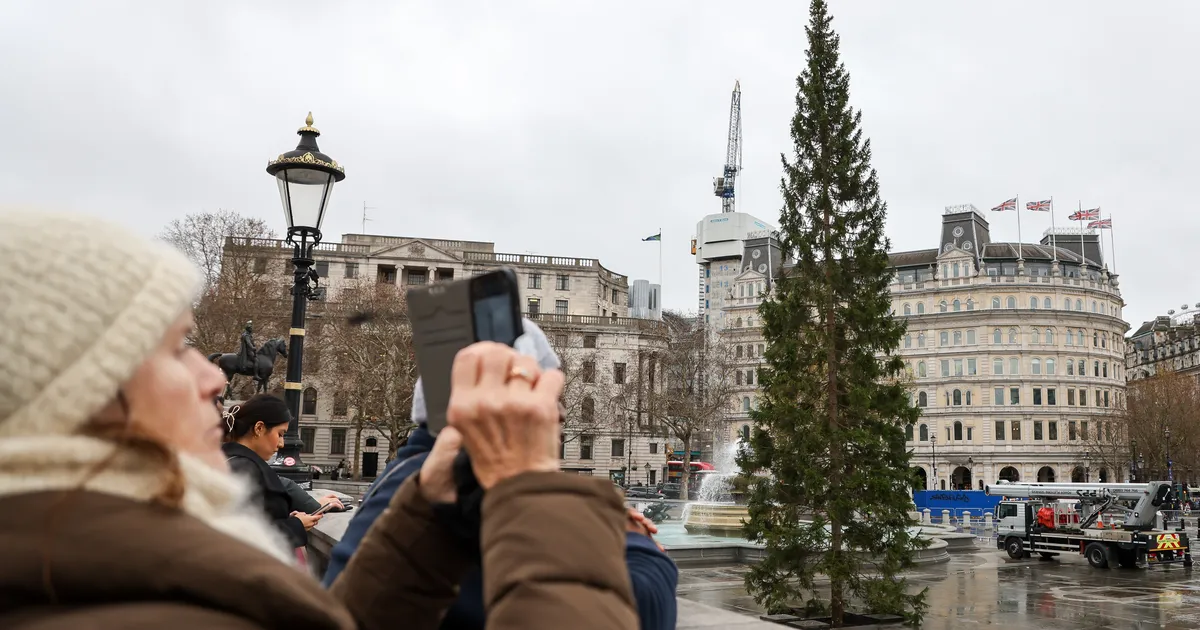 Britid nurisevad Norrast Londoni südamesse toodud jõulukuuse üle: sellest näeb ju läbi!
