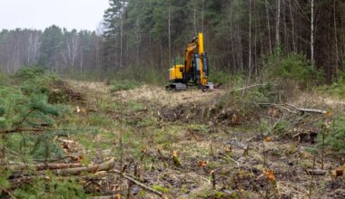SKEEMID JA PILDID ⟩ Rail Balticu koridori raadamistööd muudavad liikluskorraldust - Pärnu Postimees