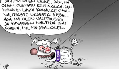 JUHTKIRI ⟩ Kohaliku võimupiruka jagajad