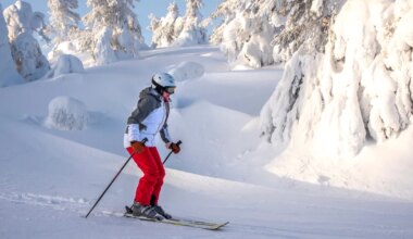 Jääral on hea päev talvepuhkuse planeerimiseks, Skorpionil on kiusatustele küllaltki raske vastu panna