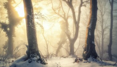 DETSEMBRI HOROSKOOP ⟩ Kuu teine pool toob paraku väljakutseid: aastalõpp võib olla murelik