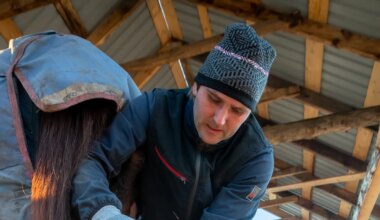 MAA ELU ⟩ Kabjalõikaja Karl Heinla tunneb kõiki hobumaailma saladusi