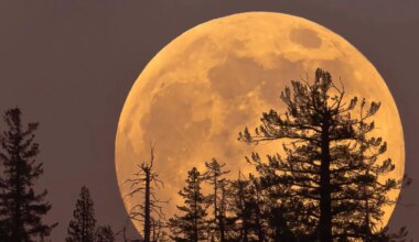 täna õhtul särab taevas aasta viimane superkuu