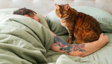 Üllatav põhjus, miks kassid suhtlevad rohkem meestega