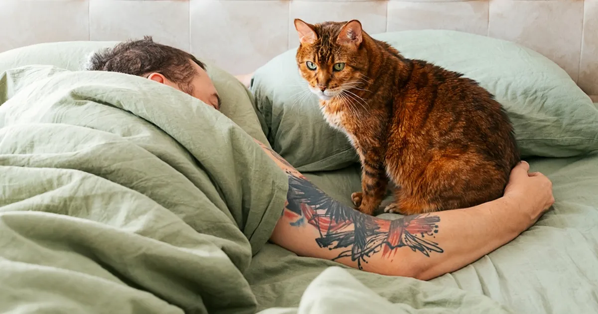 Üllatav põhjus, miks kassid suhtlevad rohkem meestega