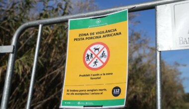 Hispaania ei välista seakatku puhangu põhjusena laborileket