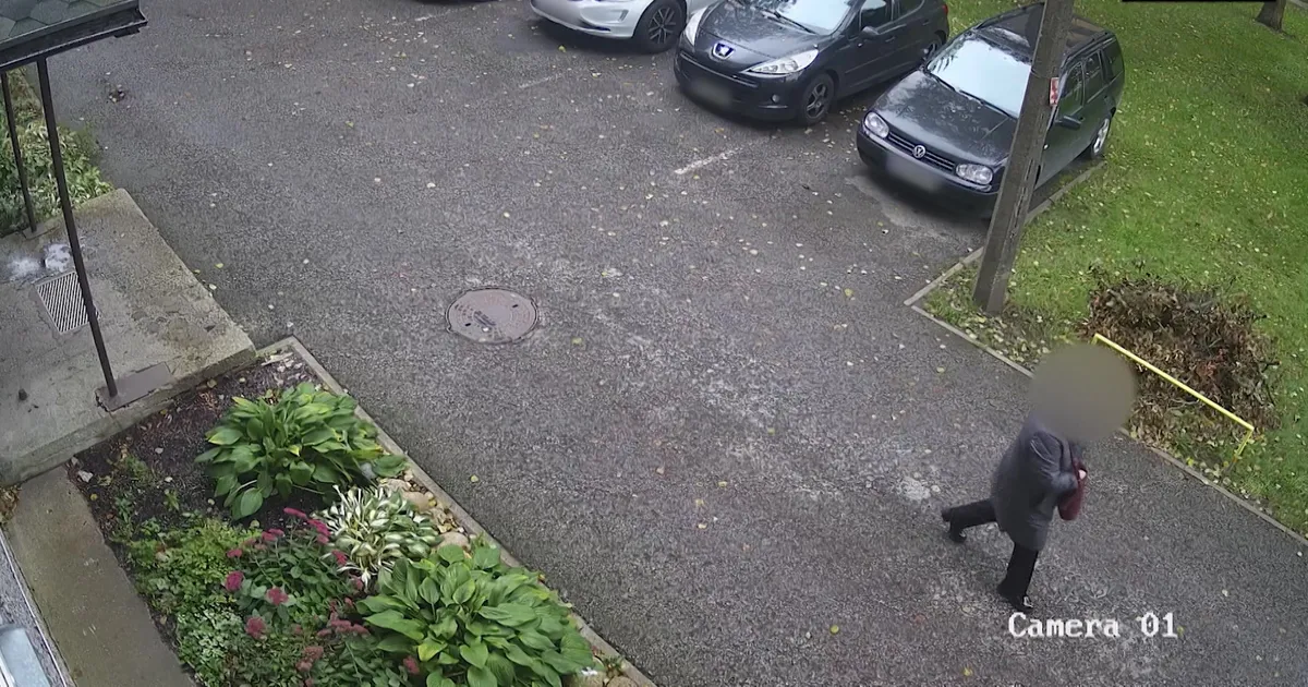 EI TASUNUD ÄRA ⟩ Politsei pidas Tallinnas kinni kaks rahamuula, kes petsid Eesti inimestelt välja üle 100 000 euro