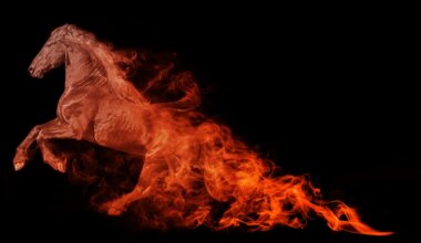 Mida toob 2026 tähemärkide tervisele?