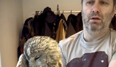 GALERII ⟩ Tuntud diskori maakodu korstnasse jäi kinni ootamatu külaline