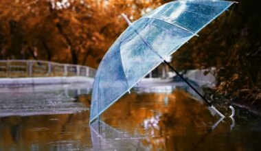 Veevalajal on raske ühist keelt leida koostööpartneritega, Kaksikud võivad tunda end nurka surutuna