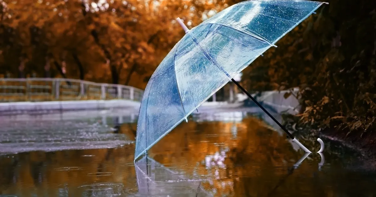 Veevalajal on raske ühist keelt leida koostööpartneritega, Kaksikud võivad tunda end nurka surutuna