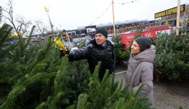 Kuuseäri käib nii kaupluste ees kui metsas - Tartu Postimees
