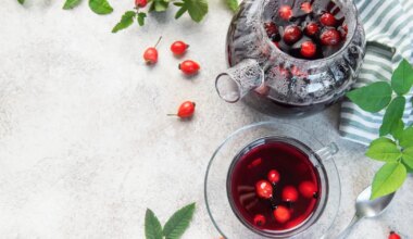 PÄEVAHOROSKOOP ⟩ 10. detsember: Kaljukitse ootavad üllatused, Neitsi on ettevõttlik - Elu24